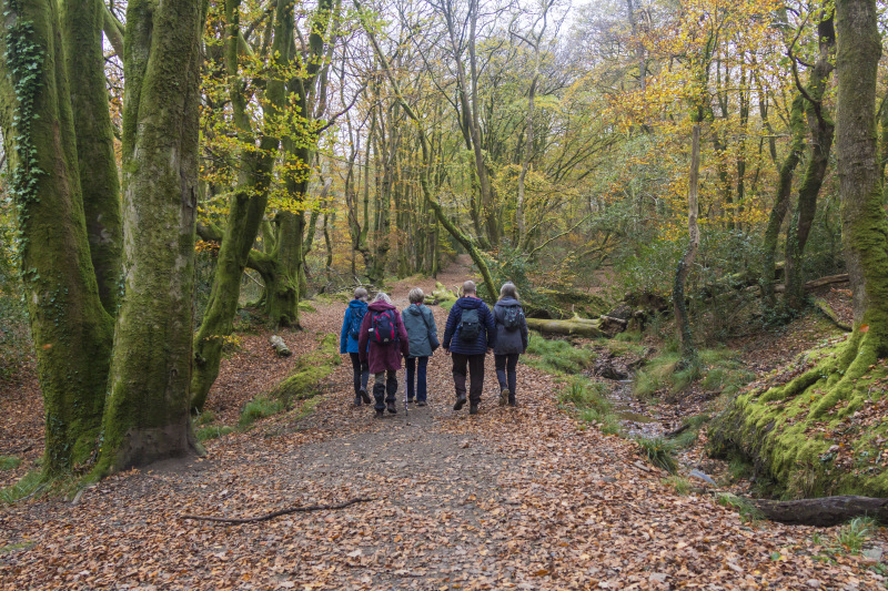 Photograph of Walking Route - Image 21