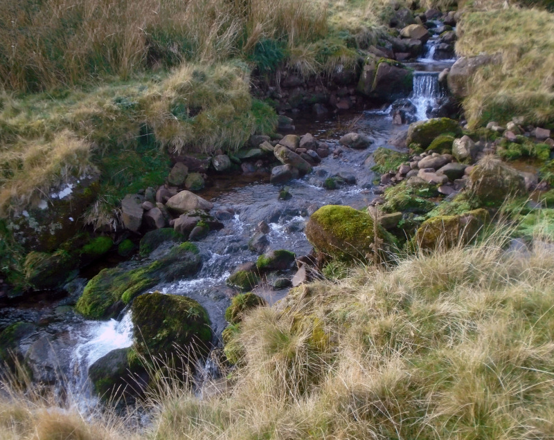 Photograph of Walking Route - Image 6