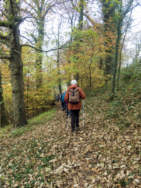 Photograph of Walking Route - Image 3