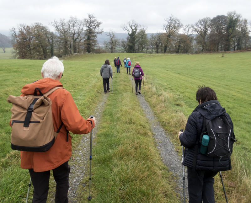 Photograph of Walking Route - Image 5
