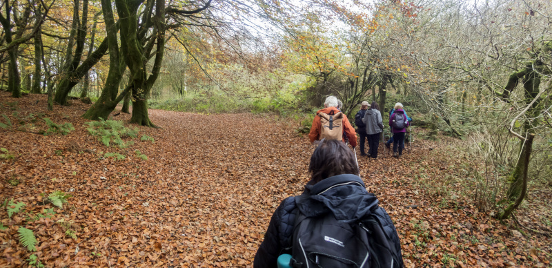 Photograph of Walking Route - Image 6