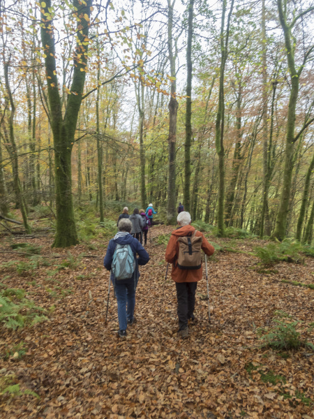 Photograph of Walking Route - Image 7