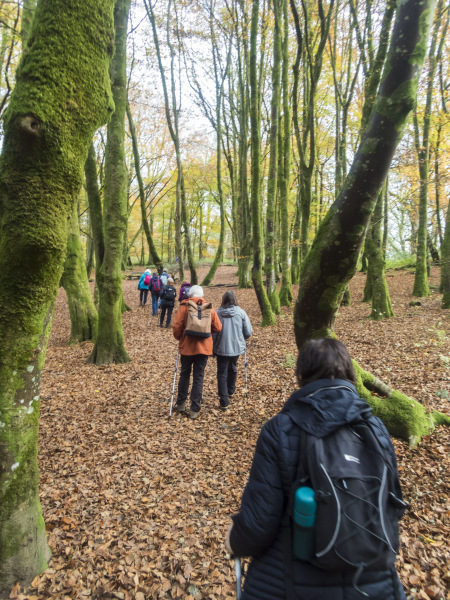 Photograph of Walking Route - Image 9