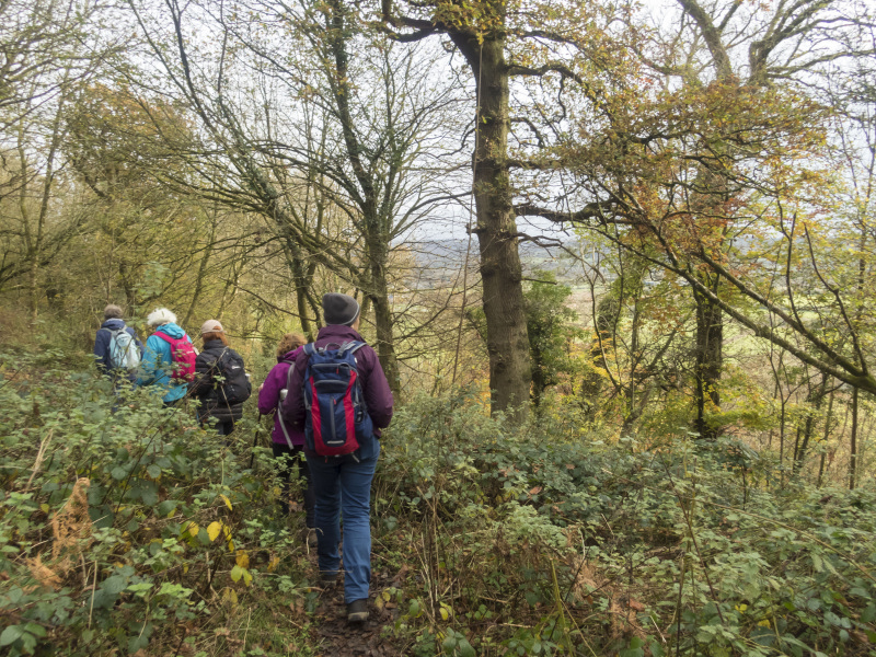 Photograph of Walking Route - Image 11