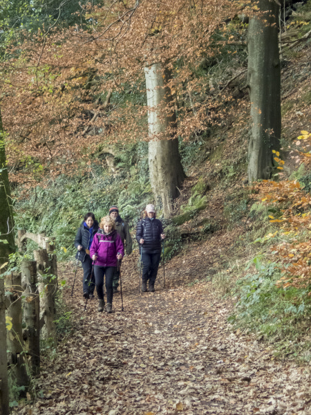Photograph of Walking Route - Image 14