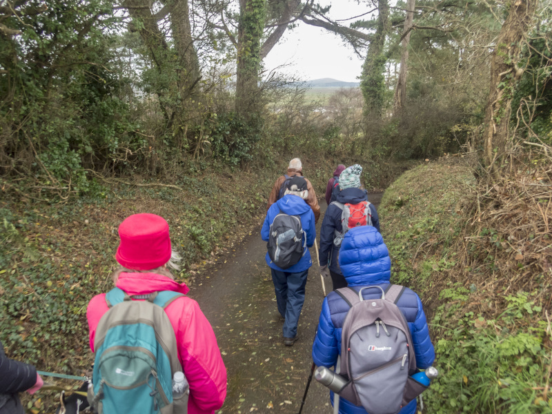 Photograph of Walking Route - Image 12
