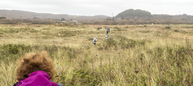 Photograph of Walking Route - Image 18