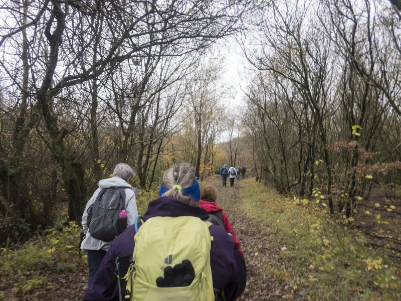Photograph of Walking Route - Image 23
