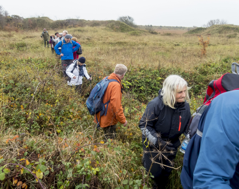 Photograph of Walking Route - Image 25