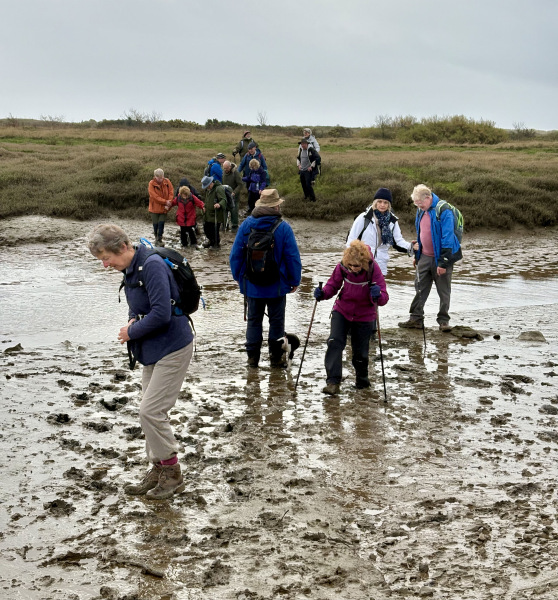 Photograph of Walking Route - Image 49