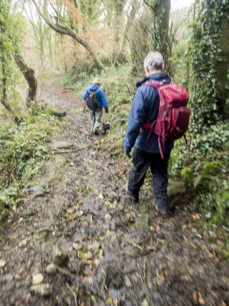 Photograph of Walking Route - Image 26