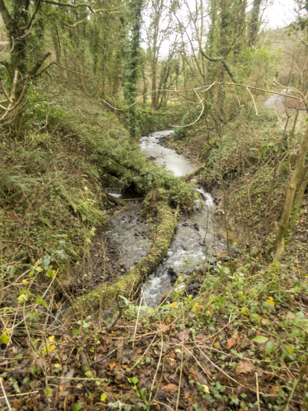 Photograph of Walking Route - Image 27