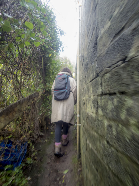 Photograph of Walking Route - Image 5