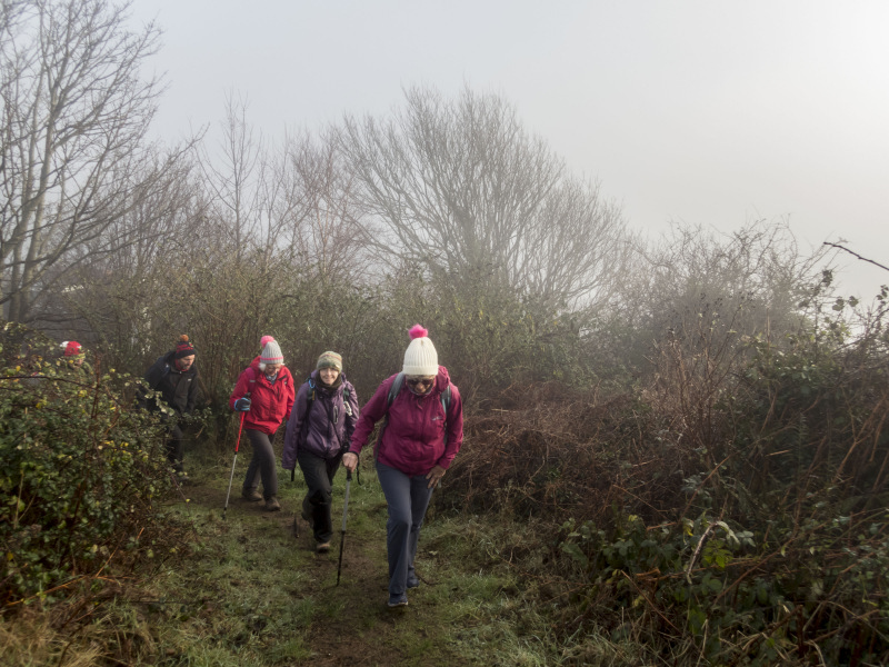 Photograph of Walking Route - Image 6