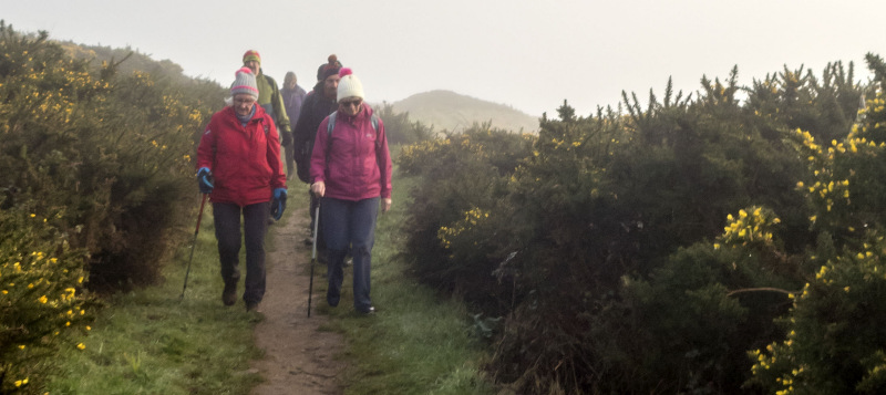 Photograph of Walking Route - Image 8