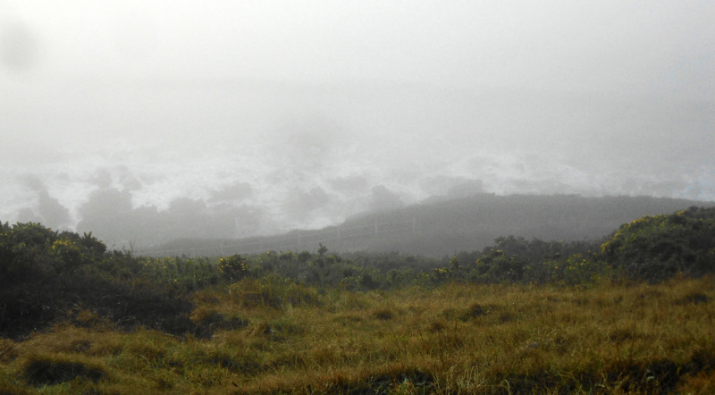 Photograph of Walking Route - Image 11
