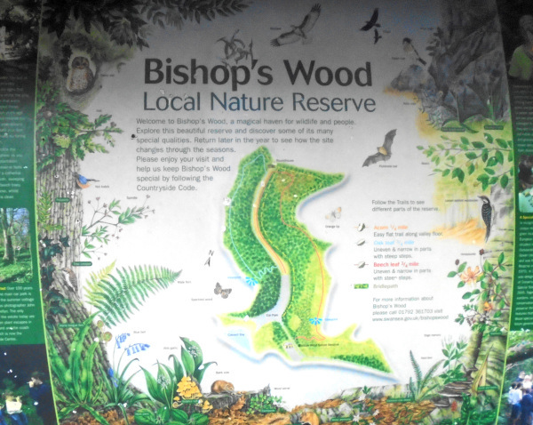 Photograph of Walking Route - Image 28