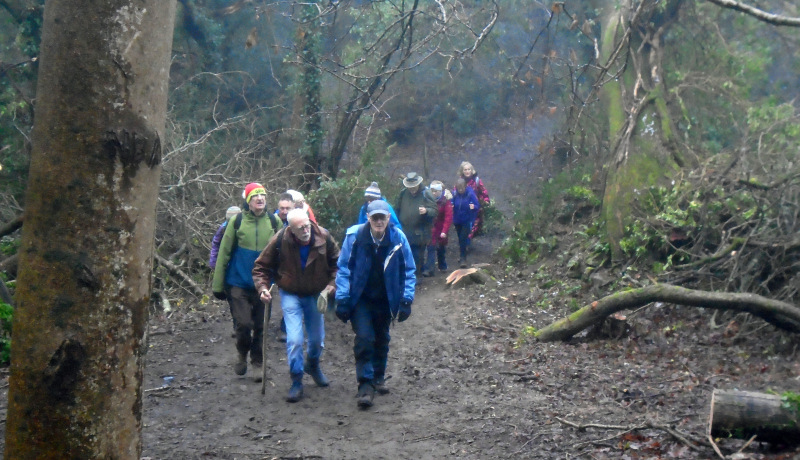 Photograph of Walking Route - Image 30