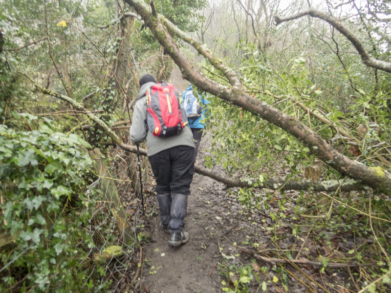Photograph of Walking Route - Image 32