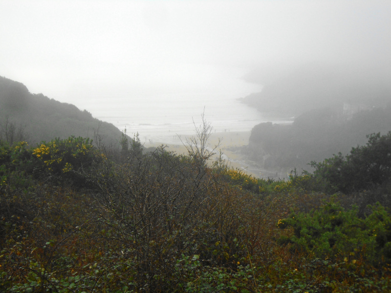Photograph of Walking Route - Image 36