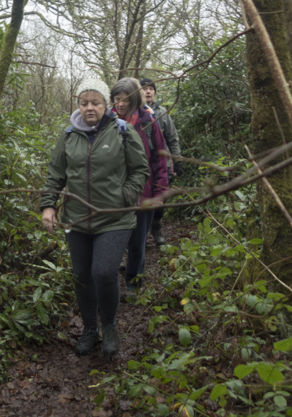 Photograph of Walking Route - Image 3