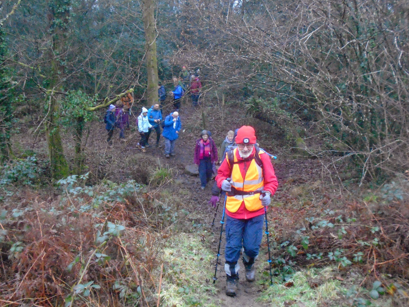 Photograph of Walking Route - Image 5