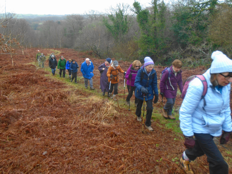 Photograph of Walking Route - Image 6
