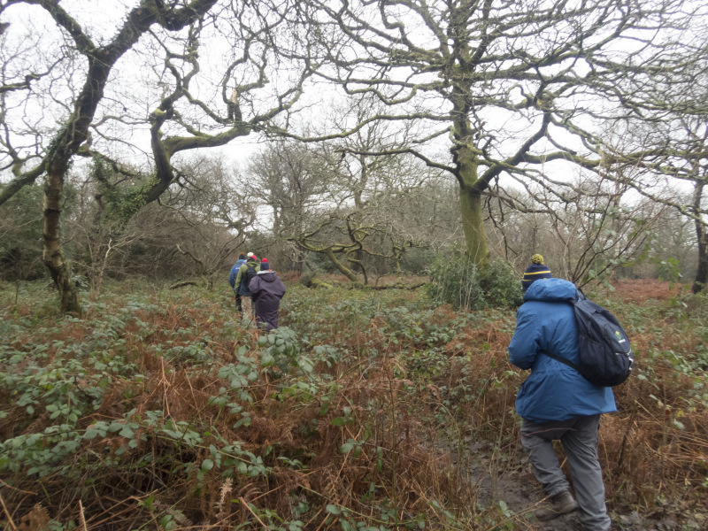 Photograph of Walking Route - Image 7