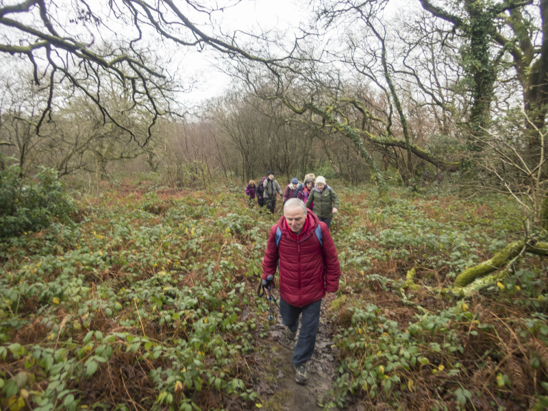Photograph of Walking Route - Image 8