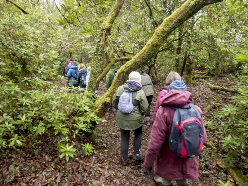 Photograph of Walking Route - Image 9