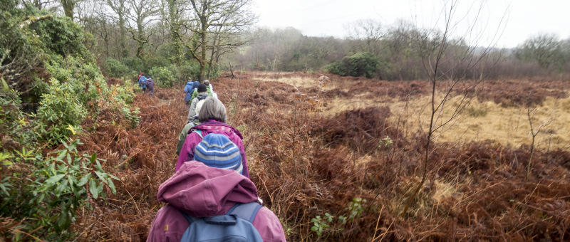 Photograph of Walking Route - Image 10
