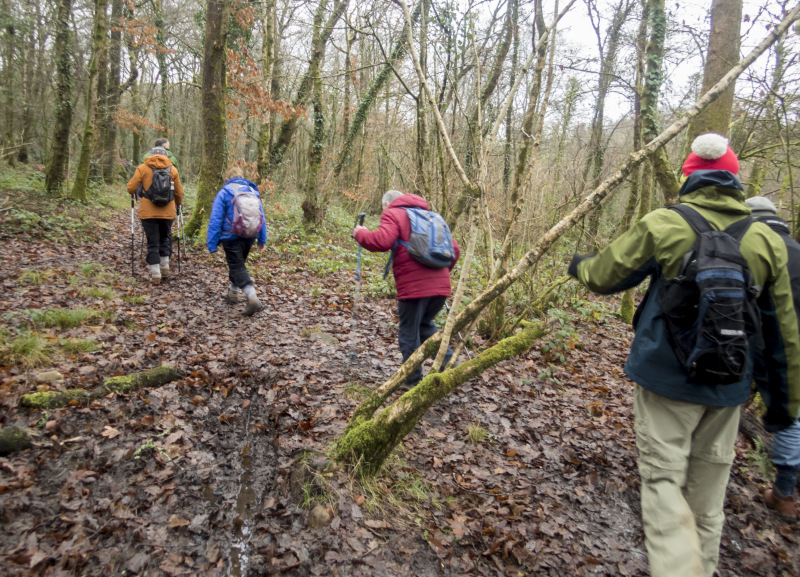 Photograph of Walking Route - Image 11