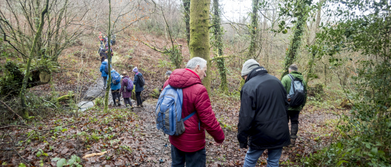 Photograph of Walking Route - Image 12
