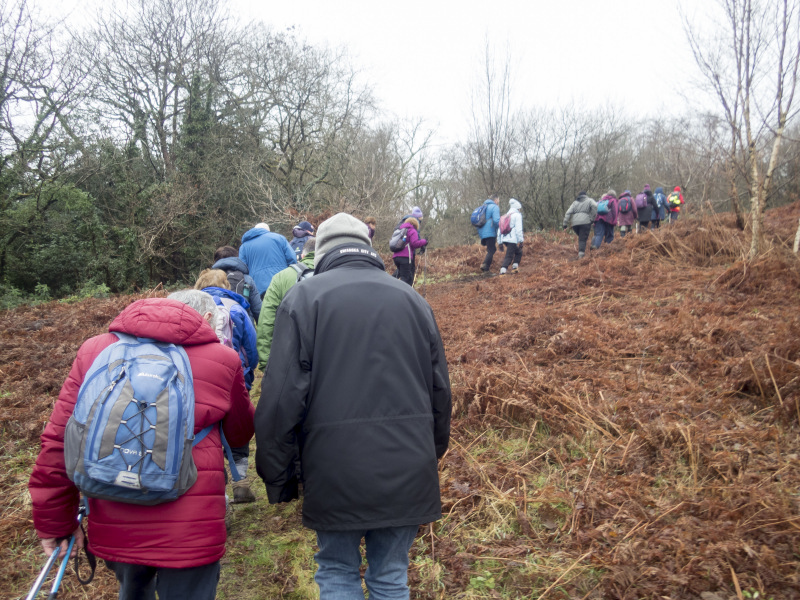 Photograph of Walking Route - Image 13