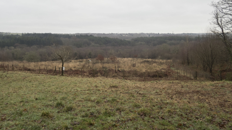 Photograph of Walking Route - Image 15