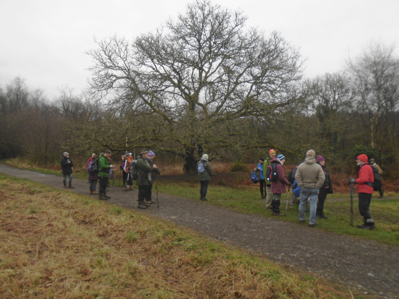 Photograph of Walking Route - Image 38