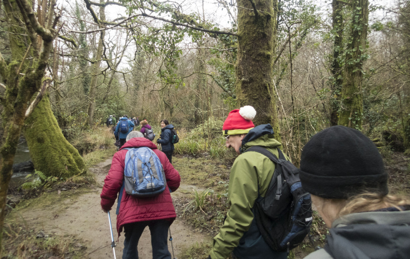 Photograph of Walking Route - Image 42