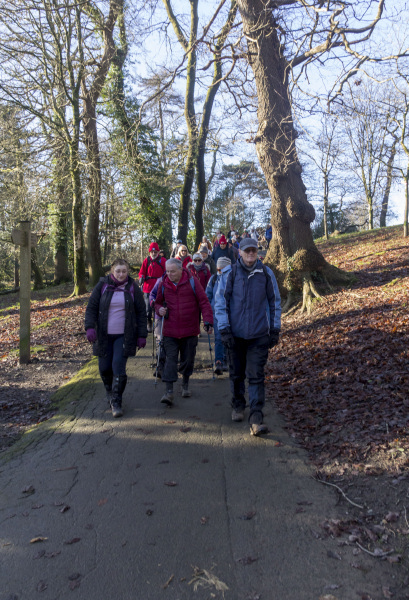 Photograph of Walking Route - Image 3