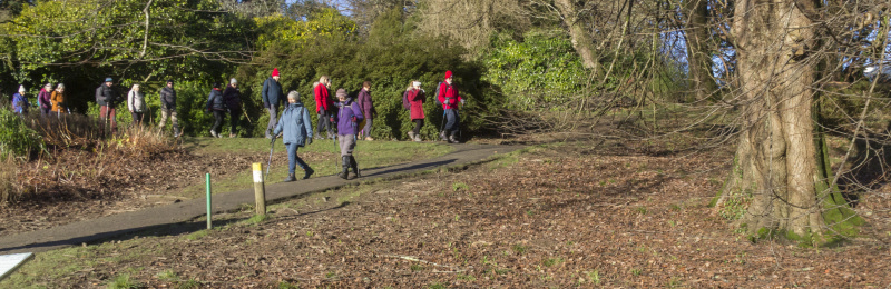 Photograph of Walking Route - Image 5