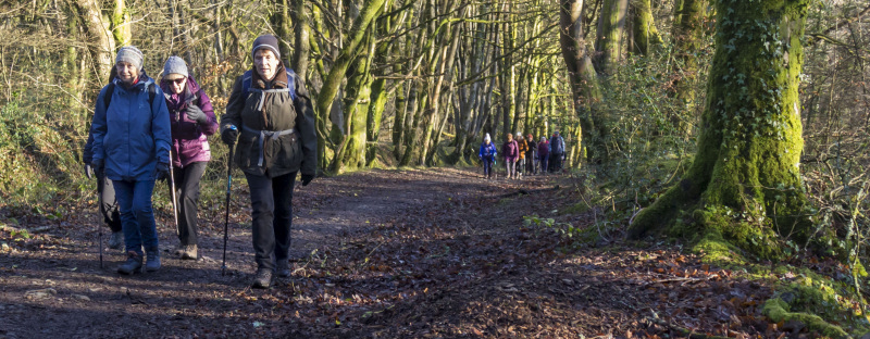 Photograph of Walking Route - Image 13