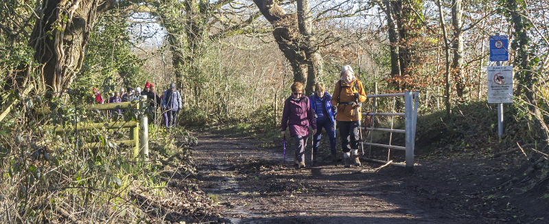 Photograph of Walking Route - Image 14
