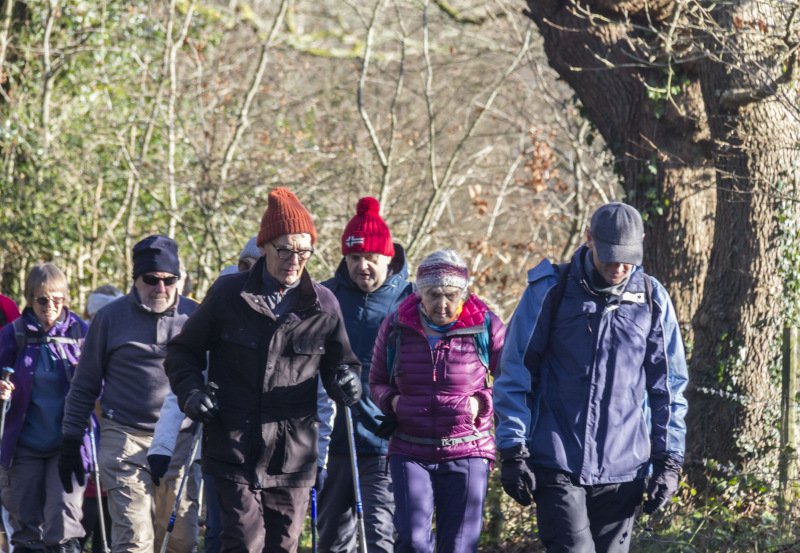 Photograph of Walking Route - Image 15