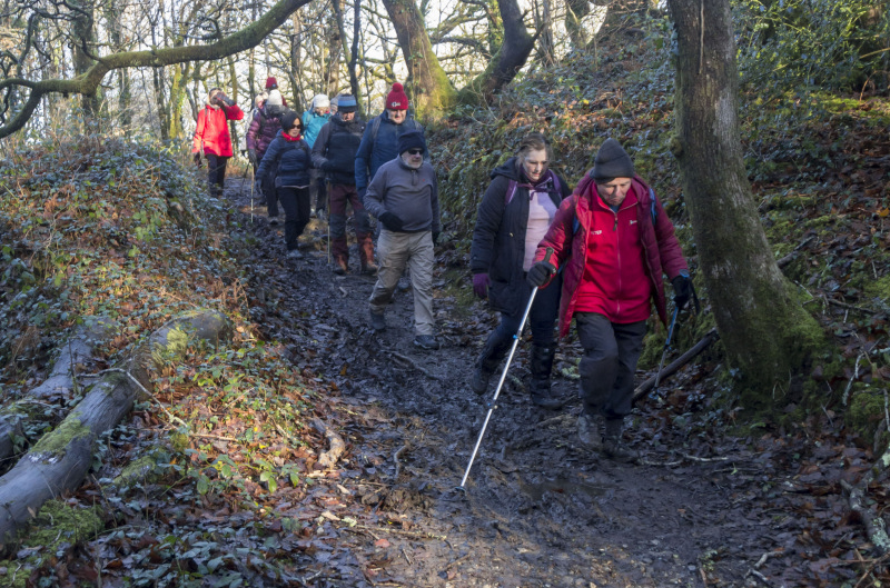 Photograph of Walking Route - Image 19