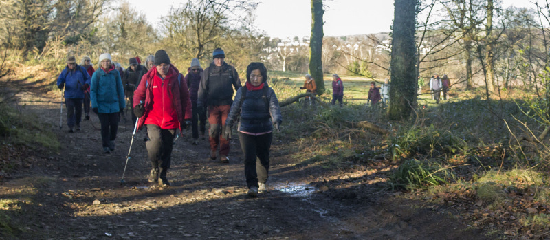Photograph of Walking Route - Image 28