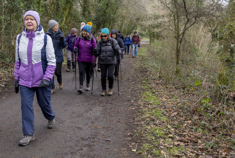 Photograph of Walking Route - Image 5