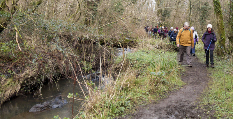 Photograph of Walking Route - Image 6
