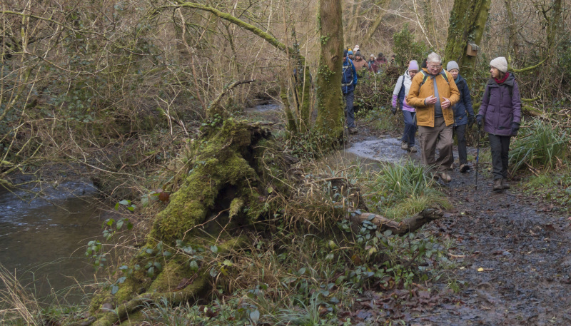 Photograph of Walking Route - Image 7