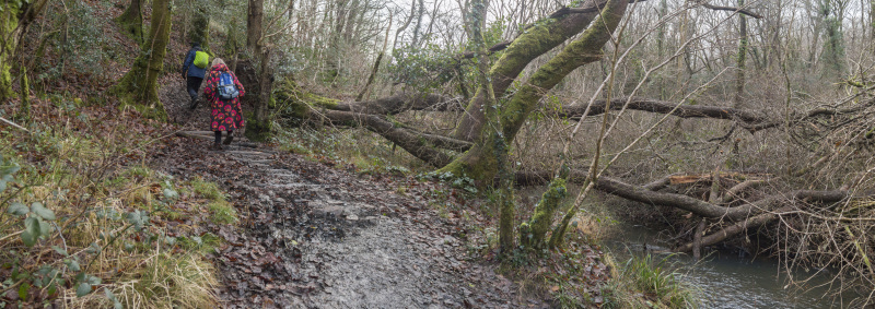 Photograph of Walking Route - Image 8