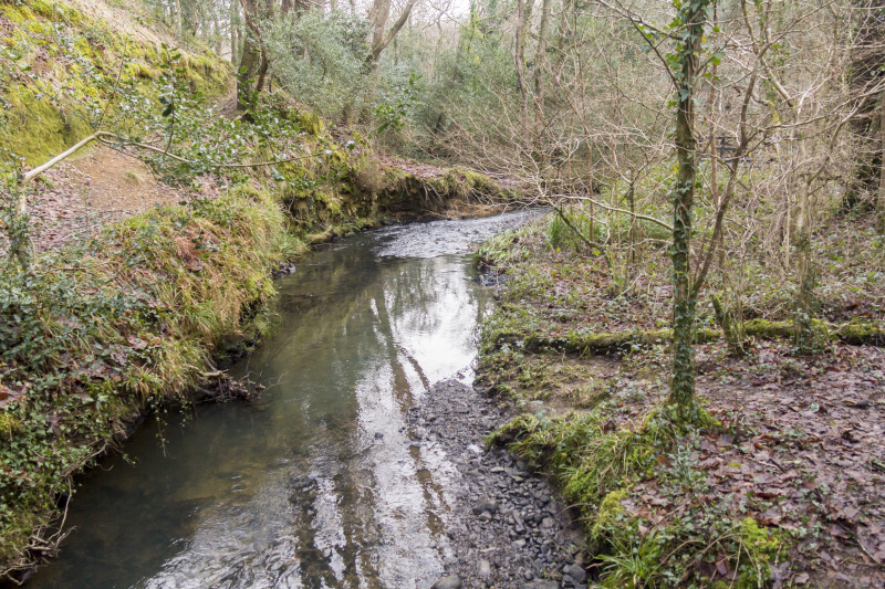 Photograph of Walking Route - Image 9