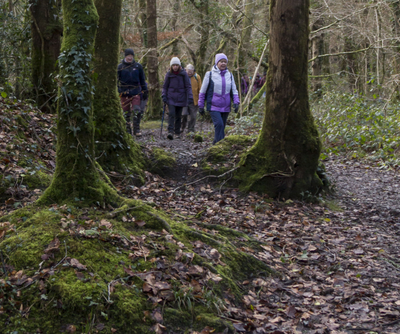 Photograph of Walking Route - Image 14